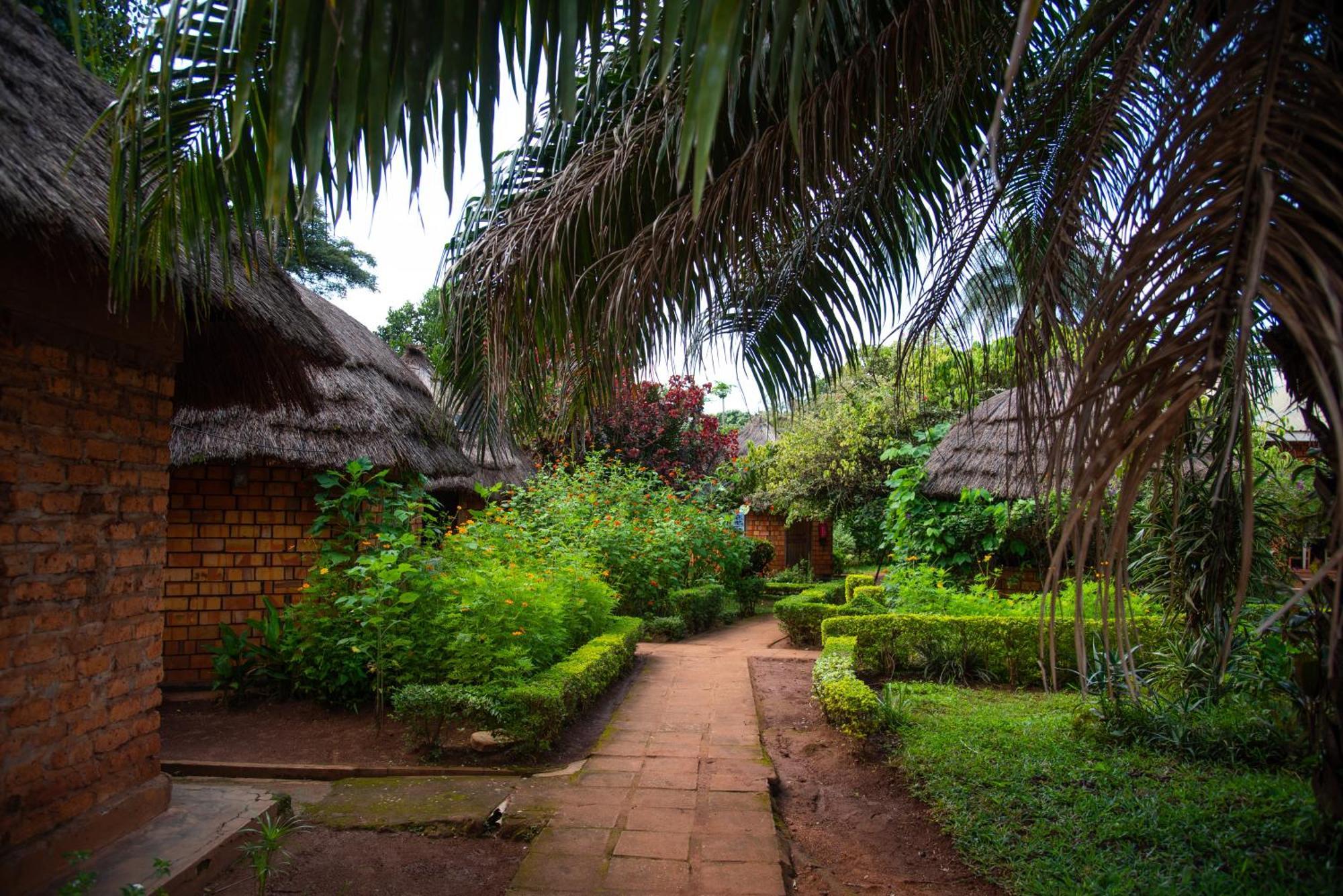 New Court View Hotel Masindi Exteriör bild