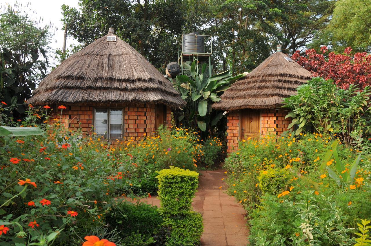 New Court View Hotel Masindi Exteriör bild