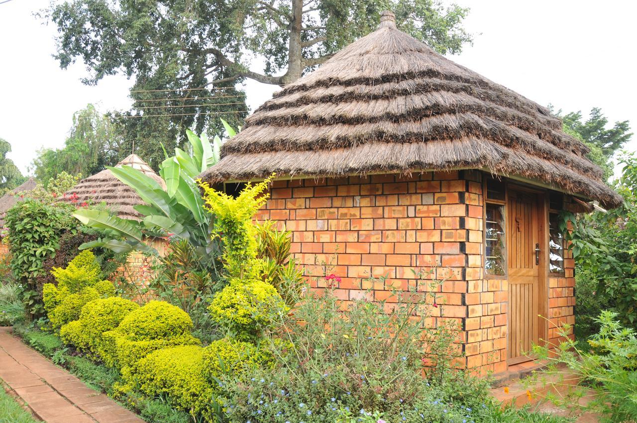 New Court View Hotel Masindi Exteriör bild