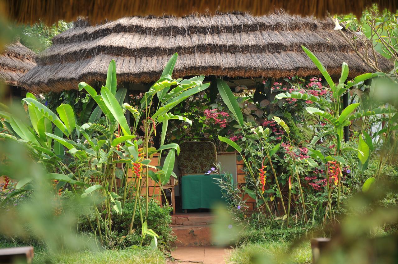 New Court View Hotel Masindi Exteriör bild