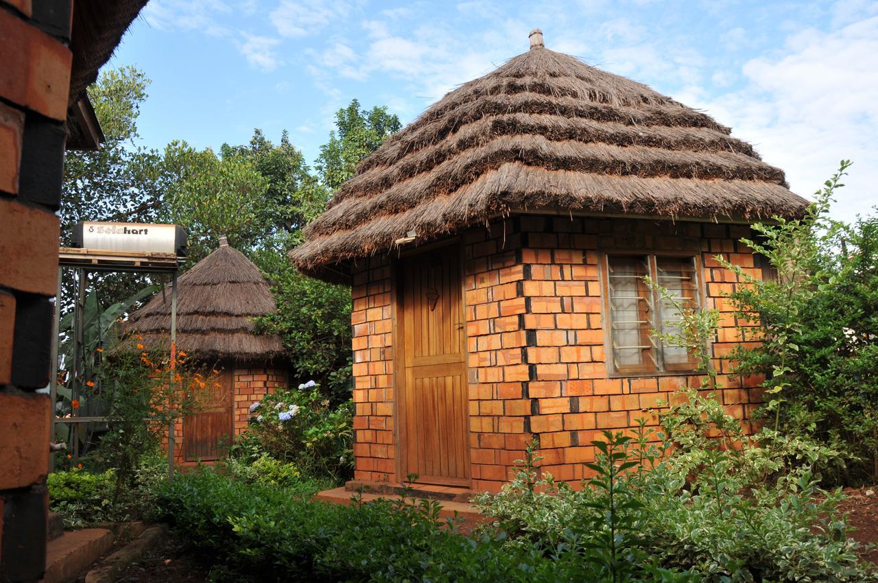 New Court View Hotel Masindi Exteriör bild
